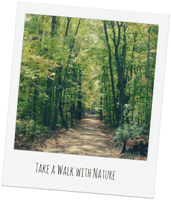 Polaroid-Lincoln-State-Park-Trails.png
